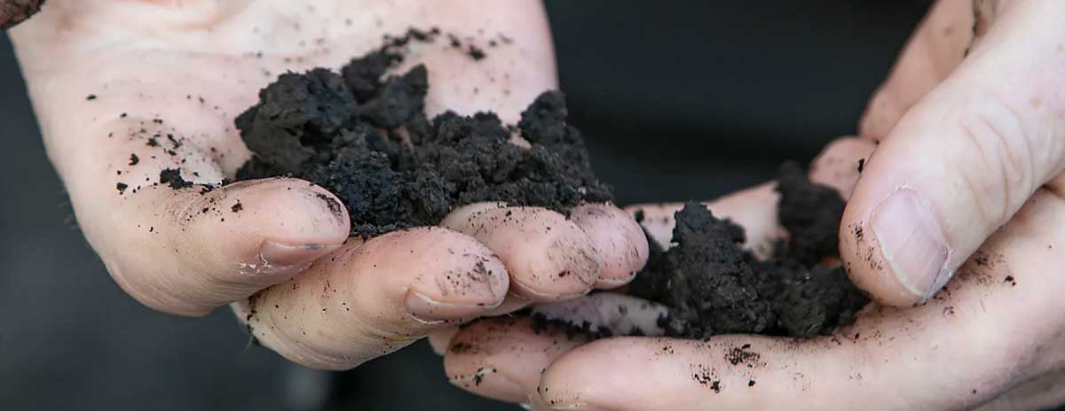 The properties of sludge